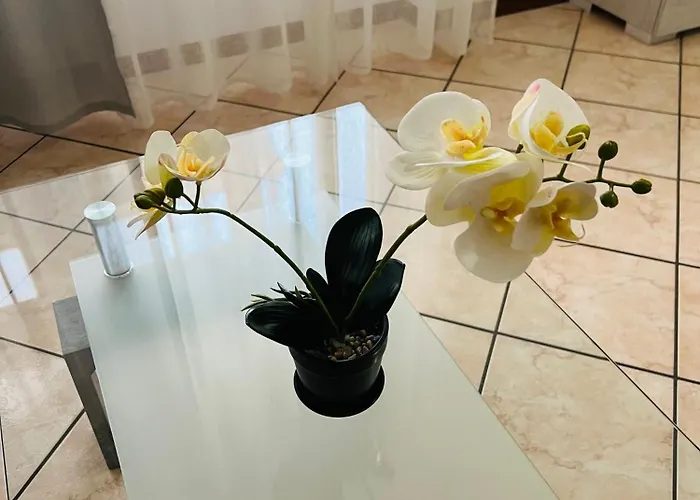 Casa Elena 2 Lägenhet *