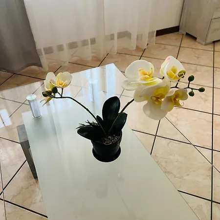 Casa Elena 2 Apartamento *